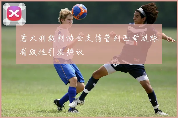 意大利裁判协会支持普利西奇进球有效性引发热议